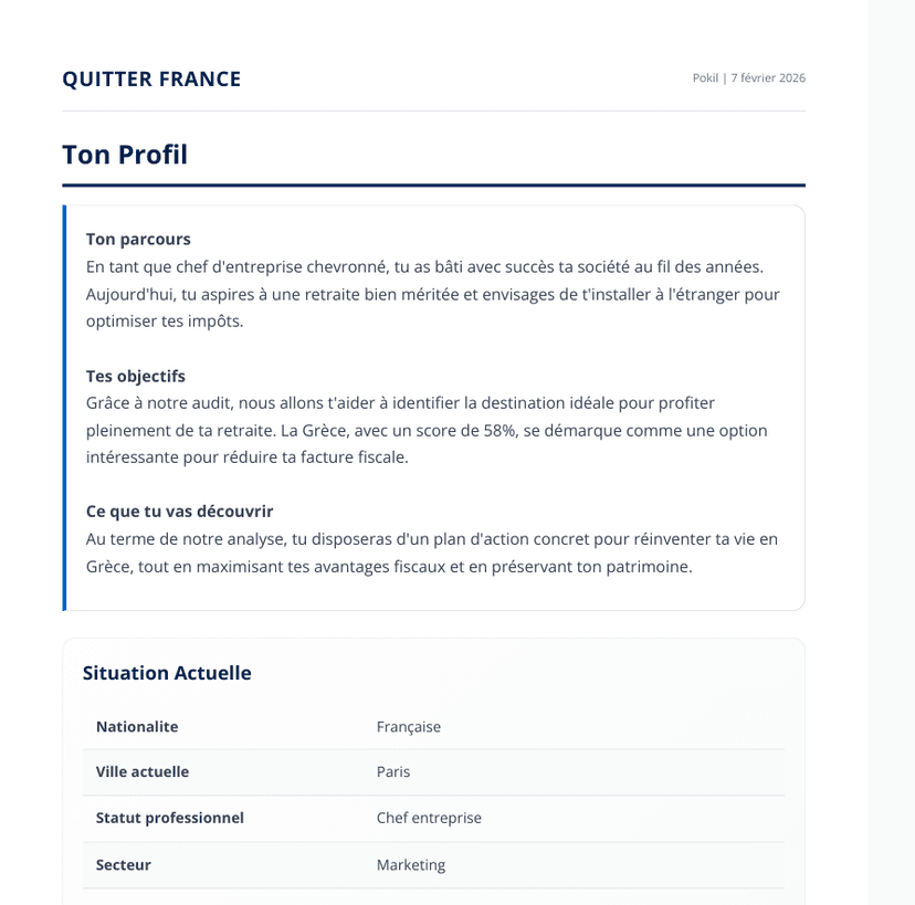 Vista previa del audit premium